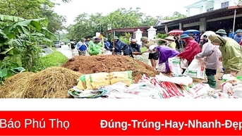 Sửa chữa, nâng cấp các công trình đê điều, thủy lợi