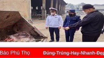Buộc tiêu hủy 260kg sản phẩm động vật không rõ nguồn gốc xuất xứ