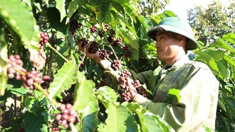 “Chìa khóa” phát triển nông nghiệp bền vững