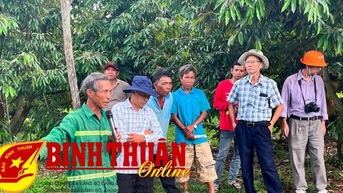 Trồng sầu riêng hữu cơ kết hợp du lịch sinh thái