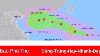 Chủ động ứng phó bão chồng bão