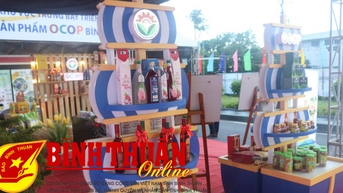 Hỗ trợ doanh nghiệp quảng bá và tiêu thụ sản phẩm lợi thế, đặc trưng
