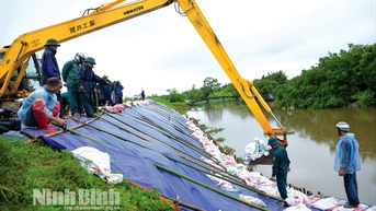 Bảo đảm an toàn hệ thống đê ứng phó với mưa lũ