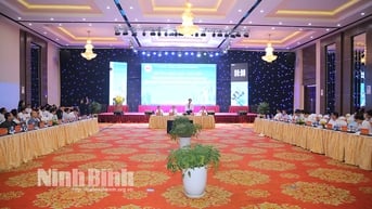 Thảo luận các nội dung chuyên sâu về khởi nghiệp sáng tạo trên một số lĩnh vực