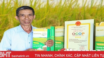 Chuyện lão nông ở Hà Tĩnh xây dựng thương hiệu gạo OCOP