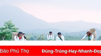 Phát triển thương hiệu chè Long Cốc