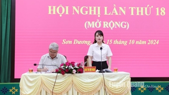 Sơn Dương thực hiện quyết liệt các giải pháp hoàn thành chỉ tiêu, kế hoạch năm 2024