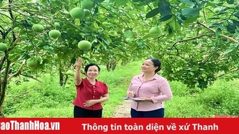 គាំទ្រសមាជិកស្ត្រីក្នុងការអភិវឌ្ឍន៍សេដ្ឋកិច្ច
