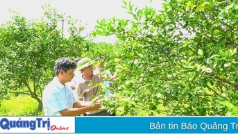 Huyện Vĩnh Linh nhân rộng mô hình vườn mẫu