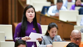 Đại biểu Quốc hội tỉnh Quảng Nam kiến nghị tạo điều kiện hỗ trợ người lao động khi thất nghiệp