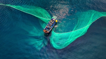 របាំចេញទៅសមុទ្រ - Vietnam.vn