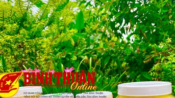 Tinh bột nghệ Đông Đan hướng đến mục tiêu sản phẩm OCOP 4 sao