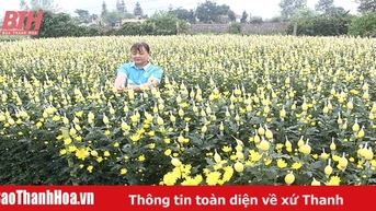 Những dấu ấn thành tựu