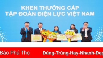 Công đoàn Công ty Điện lực Phú Thọ triển khai nhiệm vụ năm 2025