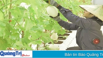 Tập trung xây dựng sản phẩm du lịch nông thôn mang đặc trưng vùng, miền