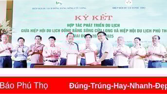Đổi mới tư duy, liên kết hiệu quả, phát triển bền vững
