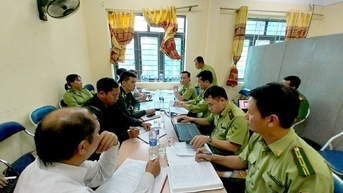 Vi phạm lâm luật nguy cơ diễn biến phức tạp