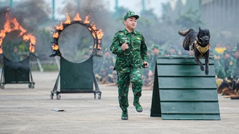 តើ​អ្វី​ជា​ពិសេស​ចំពោះ​ក្រុម​ឆ្កែ​ដែល​ចូល​រួម​សម្ដែង​នៅ​ពិព័រណ៍​ការពារ​អន្តរជាតិ​វៀតណាម?