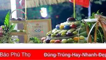 Món quà đậm vị quê