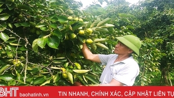 ចាប់ផ្តើមអាជីវកម្មដោយជោគជ័យ "ភ្នំដាច់ស្រយាល"