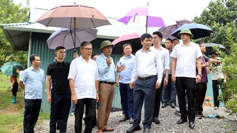 Đoàn đại biểu tỉnh Luông–Nậm–Thà tham quan mô hình trồng cây mắc ca tại TP. Điện Biên Phủ