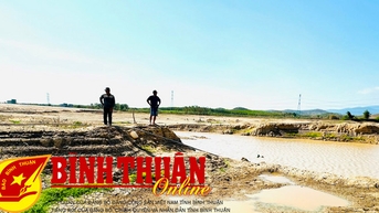 Ứng phó với sự thiếu hụt nguồn nước tưới trầm trọng