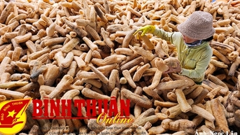 Hợp tác và phát triển cộng đồng trong kinh tế tập thể