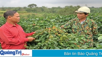 Nhiều sản phẩm hàng hóa đặc trưng, thế mạnh của các địa phương đã được đăng ký bảo hộ
