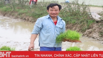 Nông dân Hà Tĩnh “đua” tiến độ gieo cấy lúa xuân