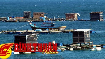 ហេតុអ្វី​បាន​ជា​ការ​នាំ​ចេញ​បង្កង​ត្រូវ​បាន​គេ​បិទ​?
