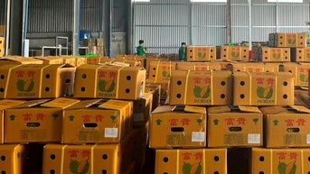 Quy trình để doanh nghiệp Đắk Nông được cấp chứng nhận EUDR