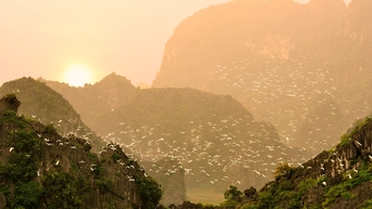 បាត់​ខ្លួន​ក្នុង​នគរ​សត្វ​ស្លាប​នៅ​ថាំង​ញ៉ែម នីញប៊ិញ