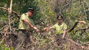 Nguy cơ lớn cháy rừng ở Chí Linh, Kinh Môn