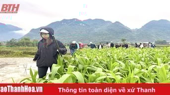 Phát triển trekking tour theo hướng chuyên nghiệp, hấp dẫn