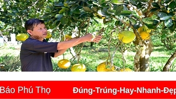 Yen Luong ខំប្រឹងរត់គេចពីភាពក្រីក្រ