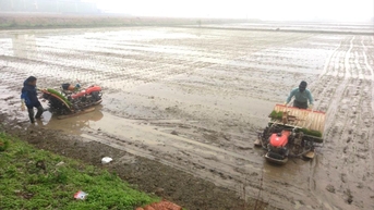 Tu Ky ជួសជុល​ដី​ដែល​គេ​បោះបង់​ចោល​ជាង​១០០​ហិកតា​ដើម្បី​ធ្វើ​ស្រែ