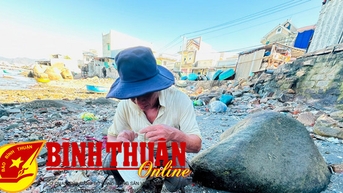 “Săn”… dời biển!