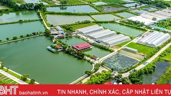 Phát triển kinh tế nông thôn ở Hà Tĩnh theo hướng hiện đại, hội nhập