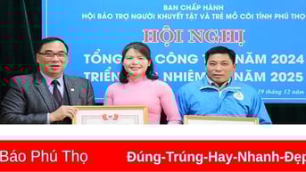 Hội nghị tổng kết công tác bảo trợ năm 2024