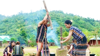 ប្រជាជន Co Tu នៅភាគខាងលិច Quang Nam ប្រារព្ធពិធីបុណ្យស្រូវថ្មី។