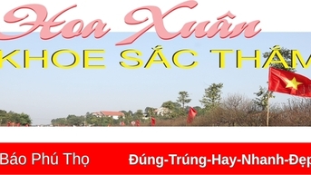 Hoa Xuân khoe sắc thắm