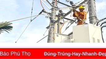 Đảm bảo cấp điện an toàn, ổn định dịp Tết