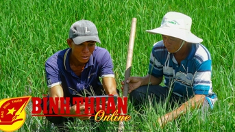 វគ្គបណ្តុះបណ្តាលស្តីពីដំណើរការធ្វើស្រែប្រកបដោយនិរន្តរភាព