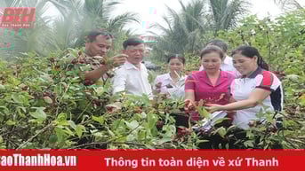 Quả ngọt trên cát bỏng