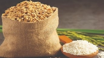 Giá gạo xuất khẩu ổn định