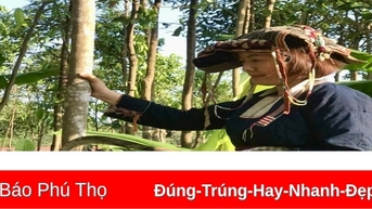 도녀는 사업에 능하다