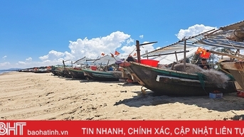Nghi Xuan은 폭풍으로부터 약 1,000척의 어선을 사전에 보호할 계획입니다.