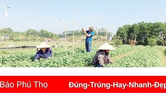Gìn giữ, vun đắp nghề truyền thống