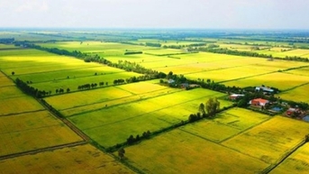 Quy định về trình tự, thủ tục cho thuê quỹ đất ngắn hạn trên địa bàn Quảng Nam