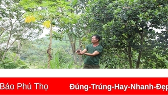 Bàn giao 330.000 cây khôi tía cho người dân 5 xã ở Yên Lập